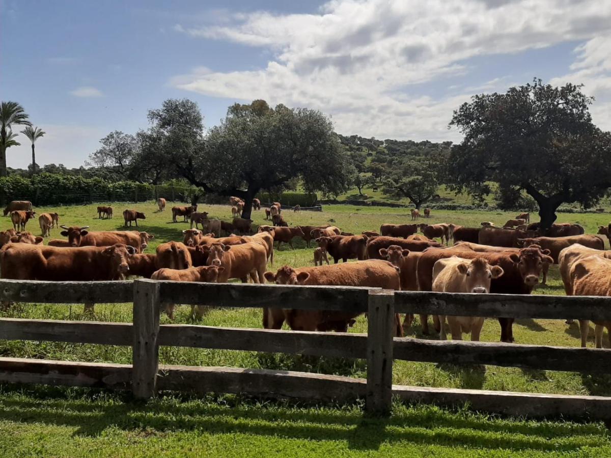 Alojamiento Rural Finca Barral El Garrobo Ngoại thất bức ảnh