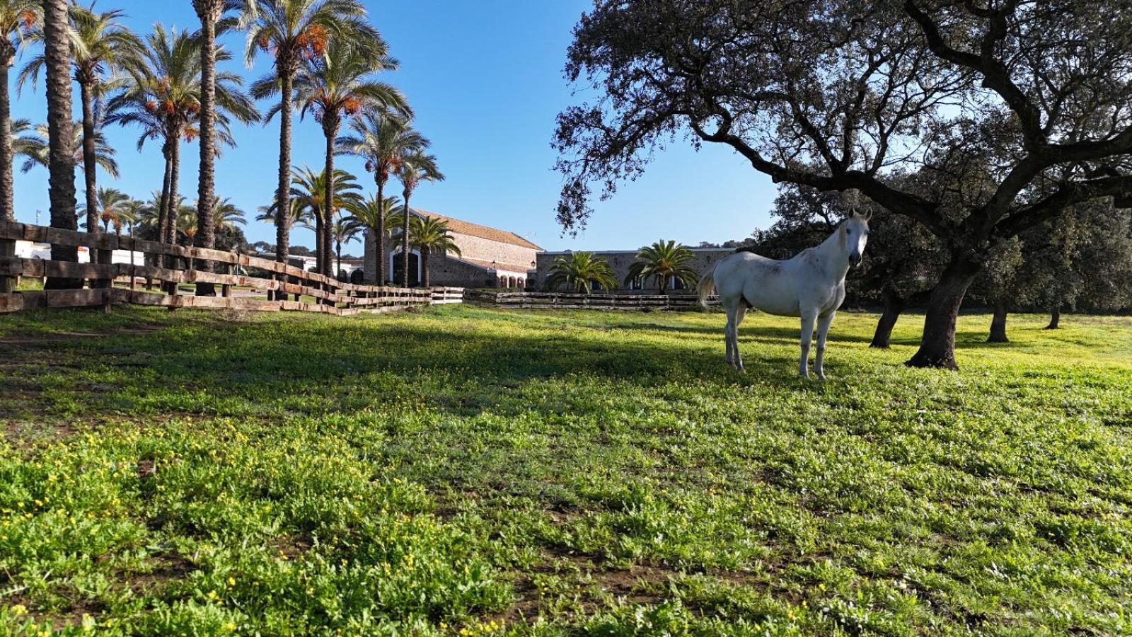Alojamiento Rural Finca Barral El Garrobo Ngoại thất bức ảnh