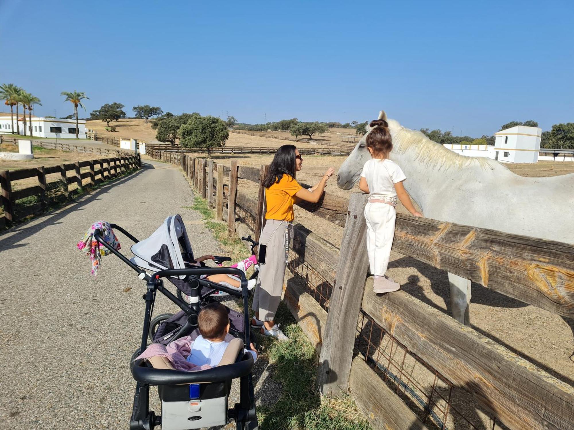 Alojamiento Rural Finca Barral El Garrobo Ngoại thất bức ảnh