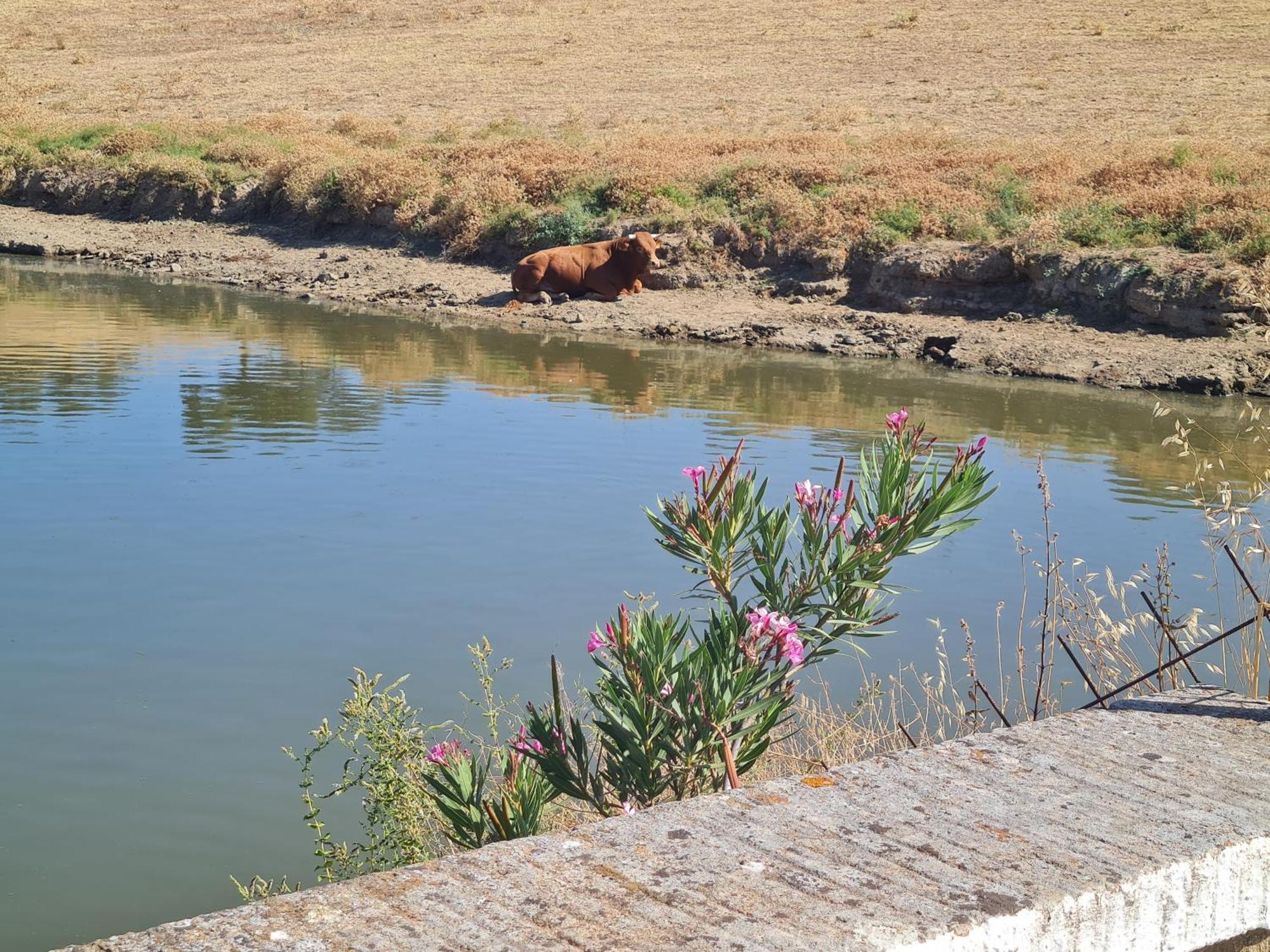 Alojamiento Rural Finca Barral El Garrobo Ngoại thất bức ảnh